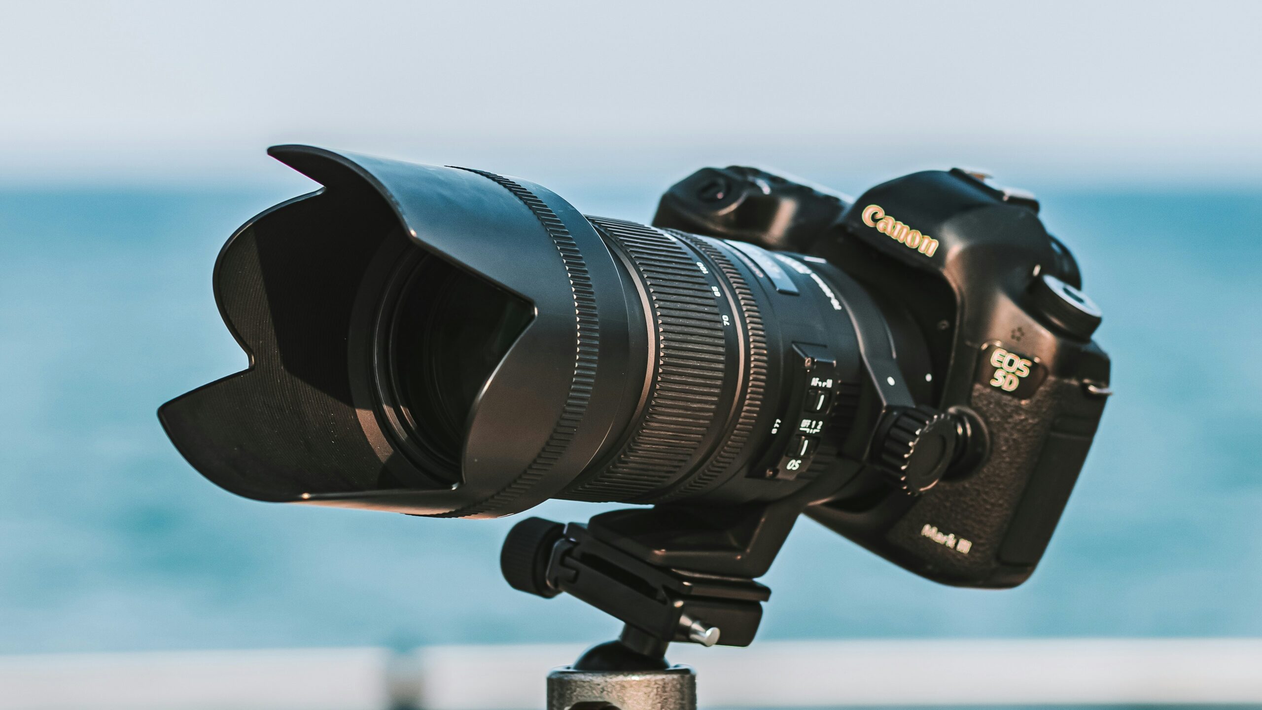 The Ultimate Guide to Long-Range Cameras for Birdwatching: Capture Every Feather in Detail